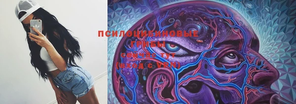 амф Балахна