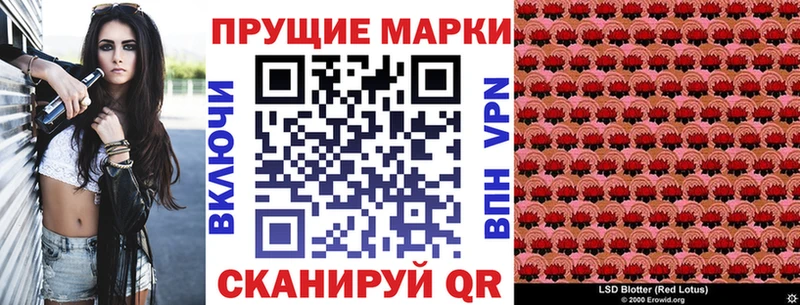 Марки N-bome 1,8мг  Сунжа 