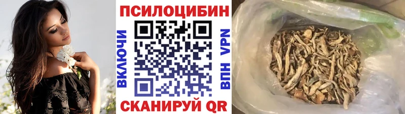 наркотики  Сунжа  Псилоцибиновые грибы Psilocybine cubensis 